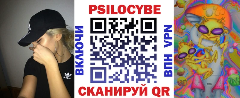 мориарти как зайти  наркошоп  Славск  Псилоцибиновые грибы GOLDEN TEACHER 